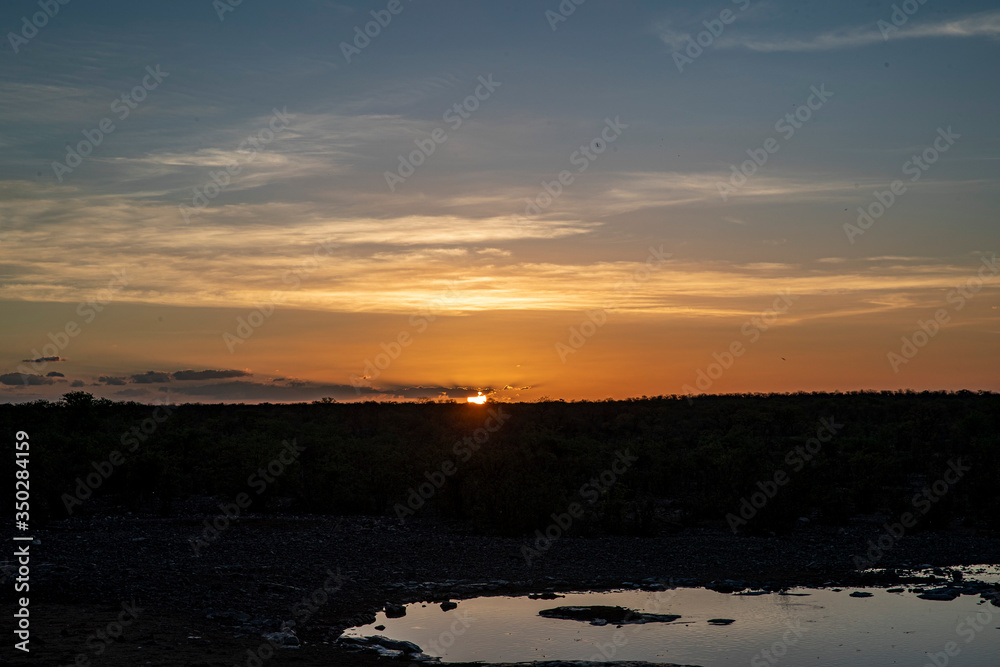Naklejka premium The sun sets at the Moringa Waterhole