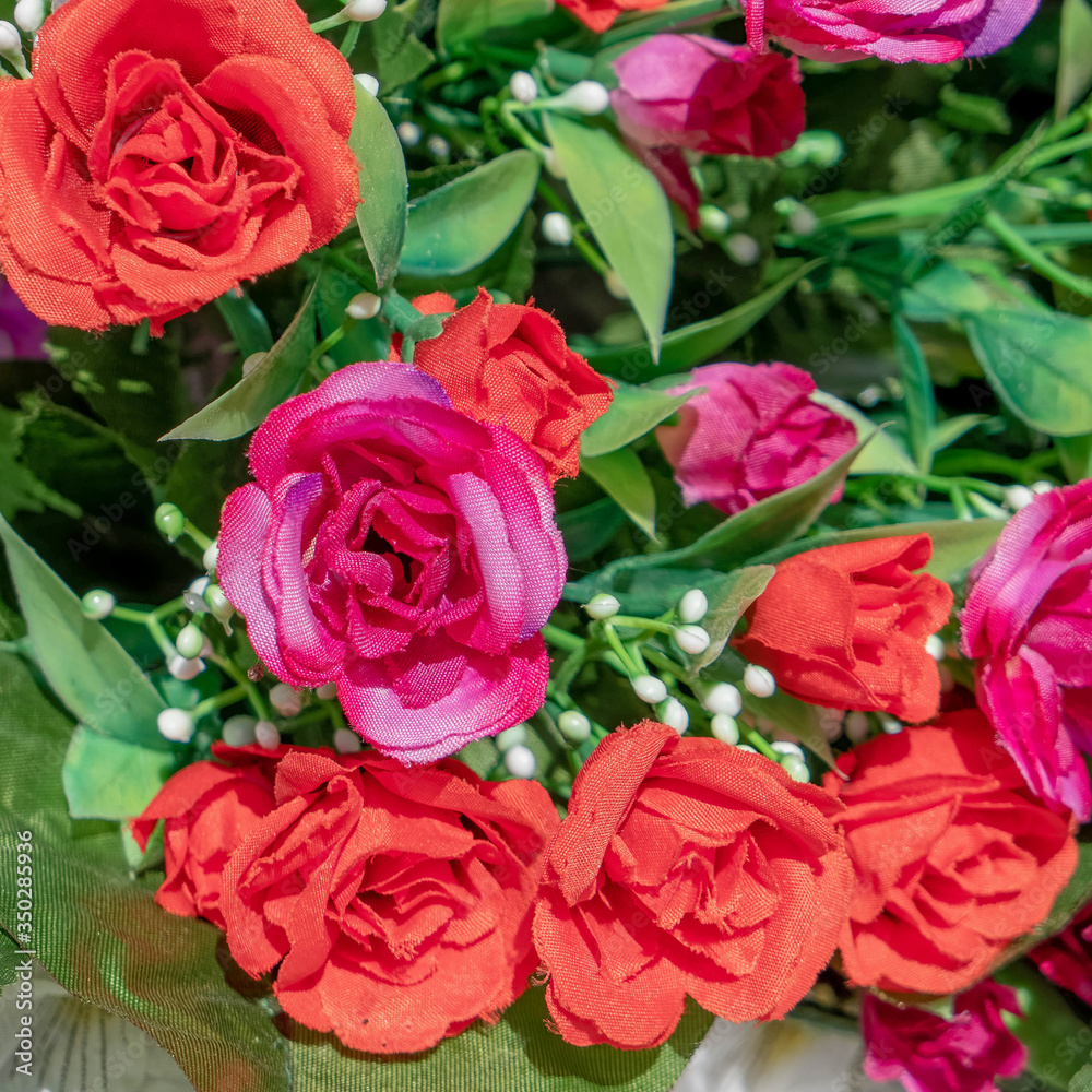 red and violet colored roses on green foliage, artficial flowers bouquet top view close up