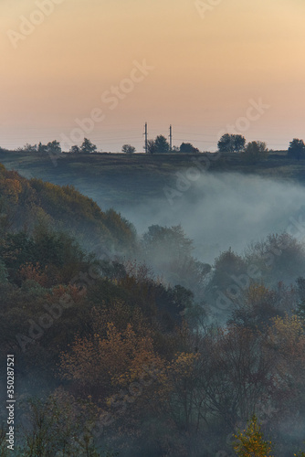 Morning forest on the hill with the fog