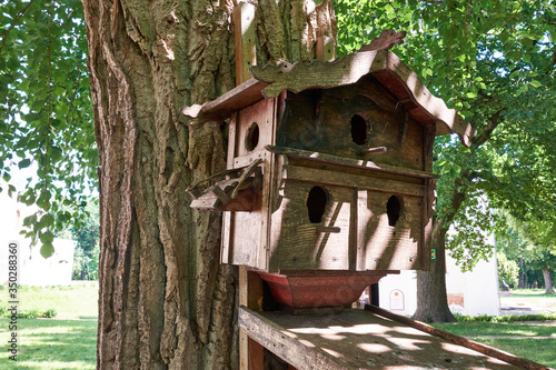 Fototapeta Big birdhouse on a tree. Caring for the birds.
