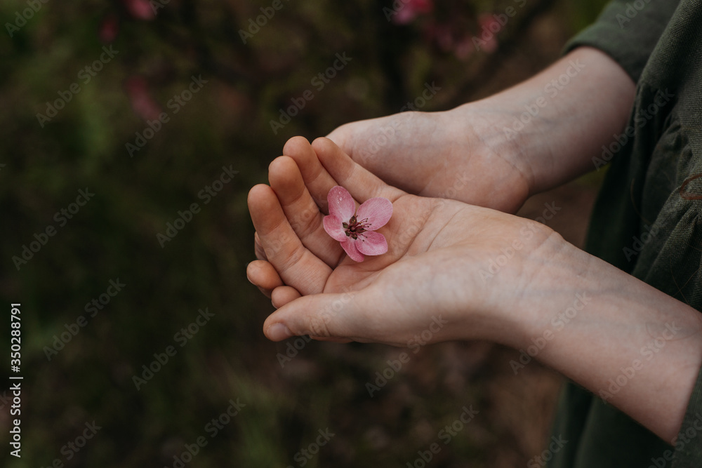 The pink flower is hidden in children's palms The pink flower is hidden in children's palms