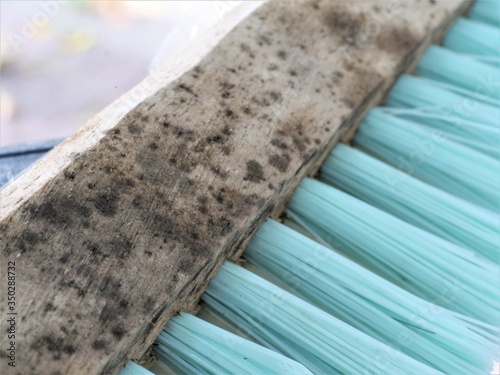 Molds at wooden part of floor scrubber brush. spores from mold can cause allergy and other health problems.