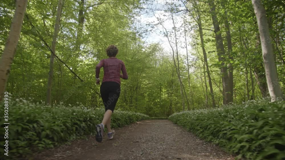 Low-Angled Shot of Woman Jogging in the Woods and a View of the Trees Low-Angled Shot of Woman Jogging in the Woods and a View of the Trees
