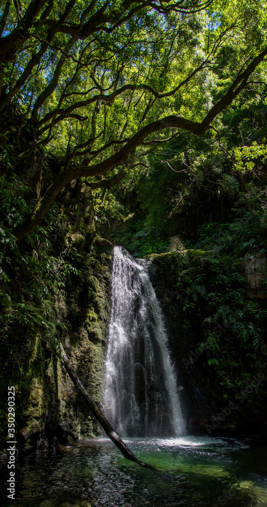 walk and discover the prego salto waterfall on the island of sao miguel, azores.