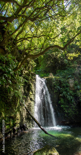 walk and discover the prego salto waterfall on the island of sao miguel, azores.