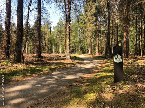 Bicycle path sign in the forest of Diffelen photo