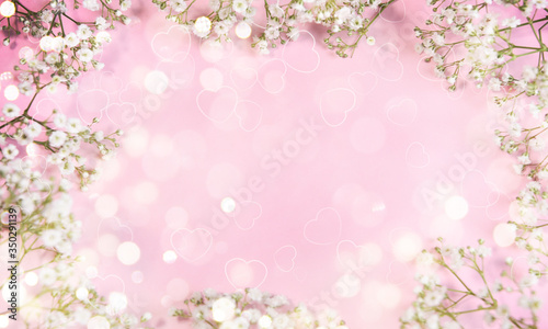 Spring background with gipsophilia