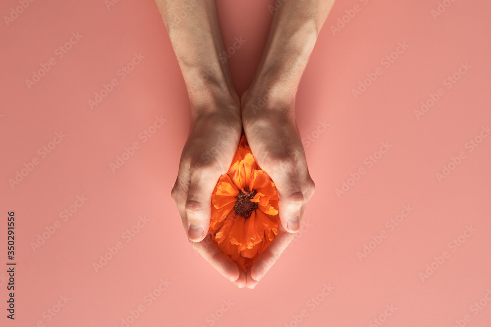 red poppy flower in the palms of a woman. vagina abstract image
