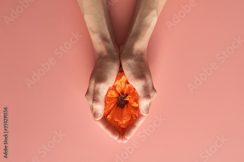 Obraz na płótnie red poppy flower in the palms of a woman. vagina abstract image w salonie