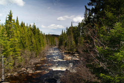 Chute d'eau en forêt canadienne