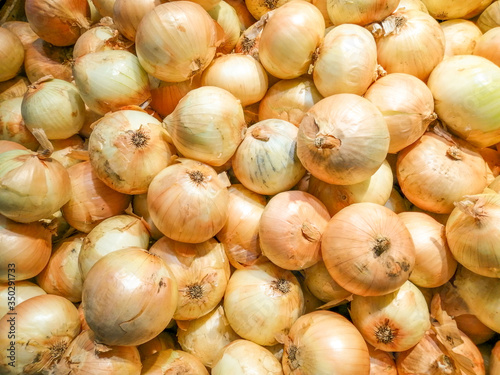 Close up of plenty fresh onion background.