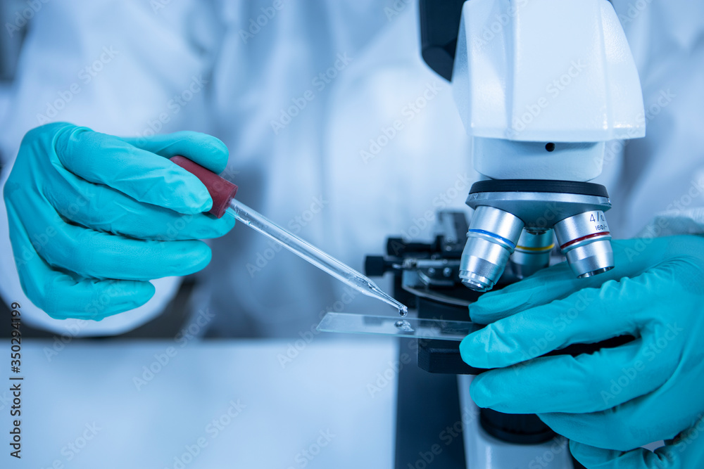 Fototapeta premium science laboratory test with a microscope , laboratory equipment.