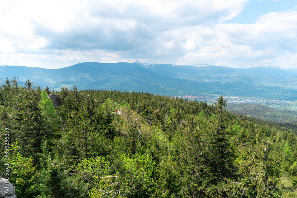 Panoramic view of the mountains and forests from the 