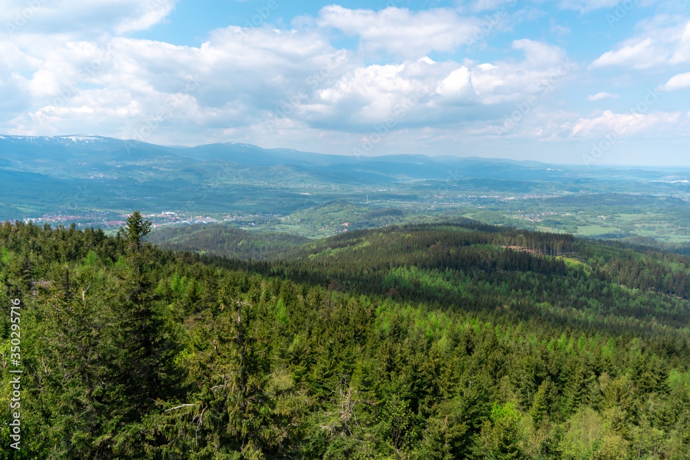 panoramic view of the mountains and forests from the panoramic view of the mountains and forests from the