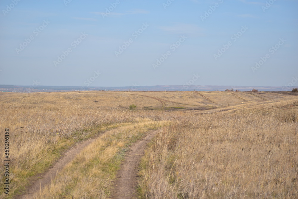 path through the field