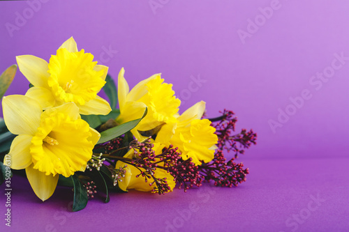 Beautiful spring bouquet of flowers yellow daffodil on lilac purple background with place for text. Floristic composition as greeting card for women March 8, Mother's Day, Valentine's Day