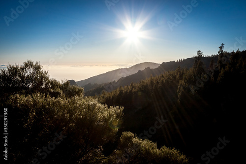 Sunset of Teide National Park, Tenerife. The sun is seting on the clouds, and the light is on the flowers. © Alexey Oblov