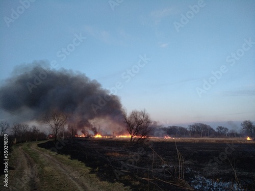 Black puffs of smoke in the blue sky from a fire in the steppe, the fire burns plants. Extermination of insects. Environmental pollution.