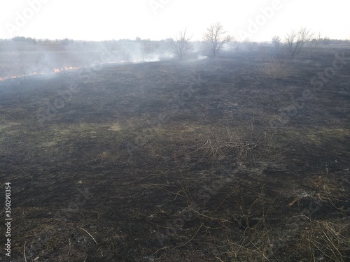 A streak of fire separating dead nature from living nature. Scorched earth, spring fires. Field with burnt grass. Extermination of insects. Environmental pollution