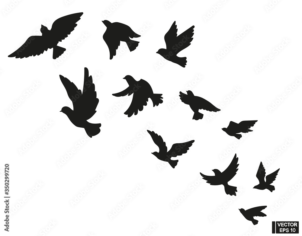 Set of black silhouette of flying birds. Set of black silhouette of flying birds.