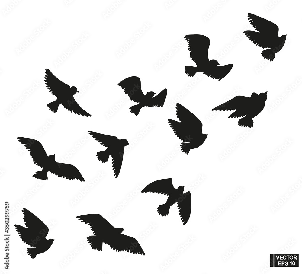 Fototapeta premium Set of black silhouette of flying birds.