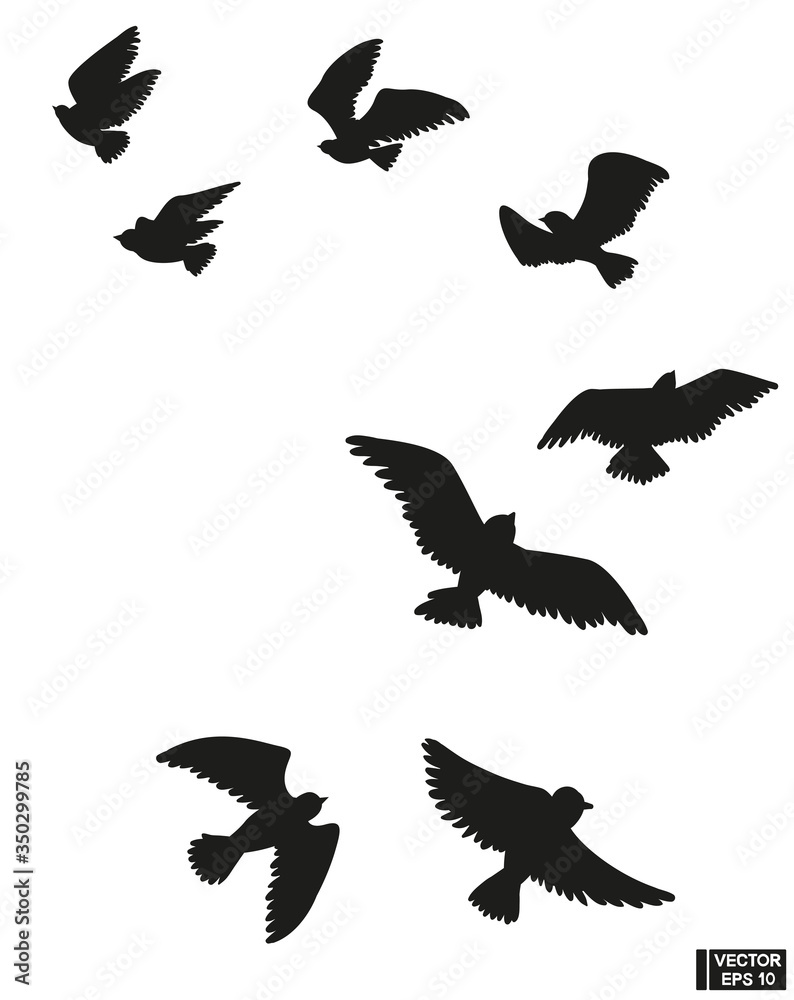 Fototapeta premium Set of black silhouette of flying birds.