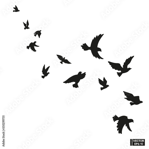 Set of black silhouette of flying birds. © Владимир Шерстнев