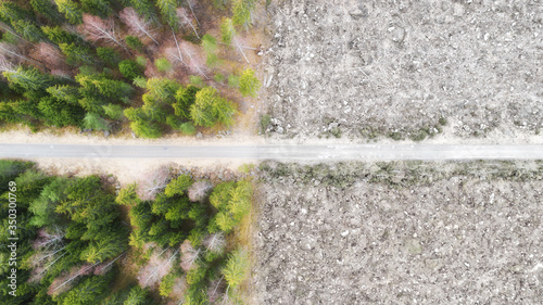 Foto Top down view of the dirt road and deforestation of a forest