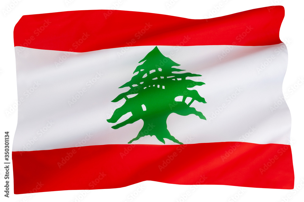 The flag of Lebanon The flag of Lebanon