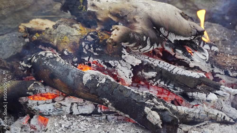A man sits in front of a bonfire in the mountains with a cup of hot tea. Sitting in front of a campfire in the mountains.
Barbecue on the nature in the mountains.
Slow motion footage. A man sits in front of a bonfire in the mountains with a cup of hot tea. Sitting in front of a campfire in the mountains.
Barbecue on the nature in the mountains.
Slow motion footage.