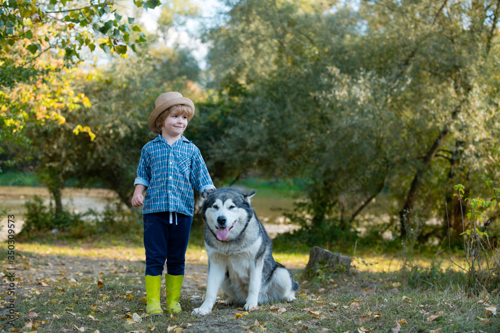 Funny children boy with dog walk together on green field. Adventure and vacations children concept. Children are hiking together with pet dog. Kids with cute dog. Funny children boy with dog walk together on green field. Adventure and vacations children concept. Children are hiking together with pet dog. Kids with cute dog.
