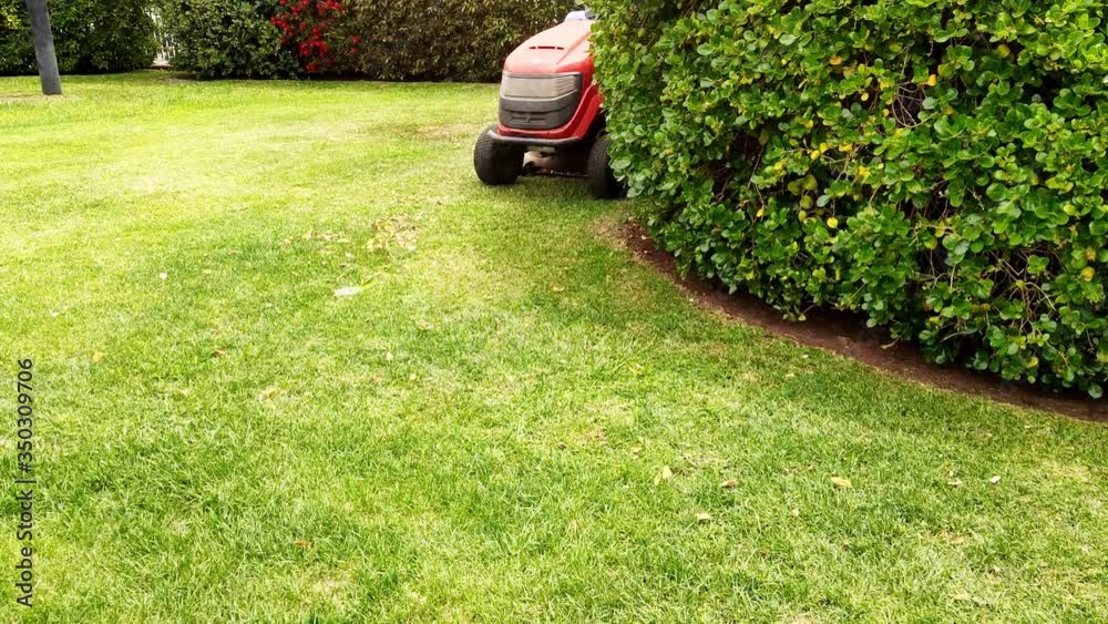 VIAGRANDE, SICILY, ITALY, May 2019: A park worker with the mask on a lawn mower mows a lawn on a green lawn with grass, trees and plants on a sunny spring day
Lawn mowers with the mask cutting grass a