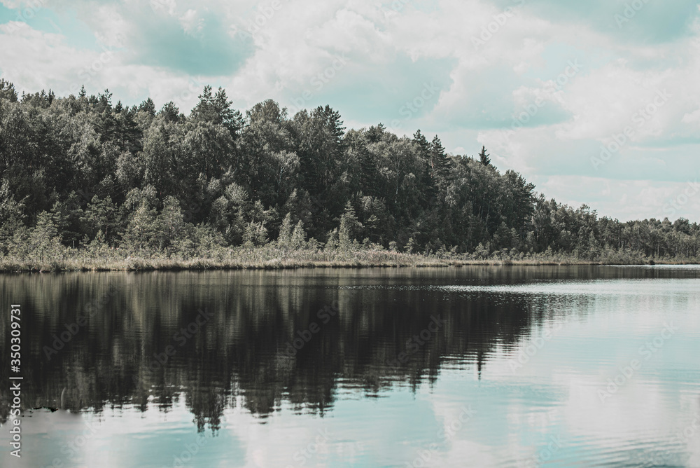 reflection of trees in lake