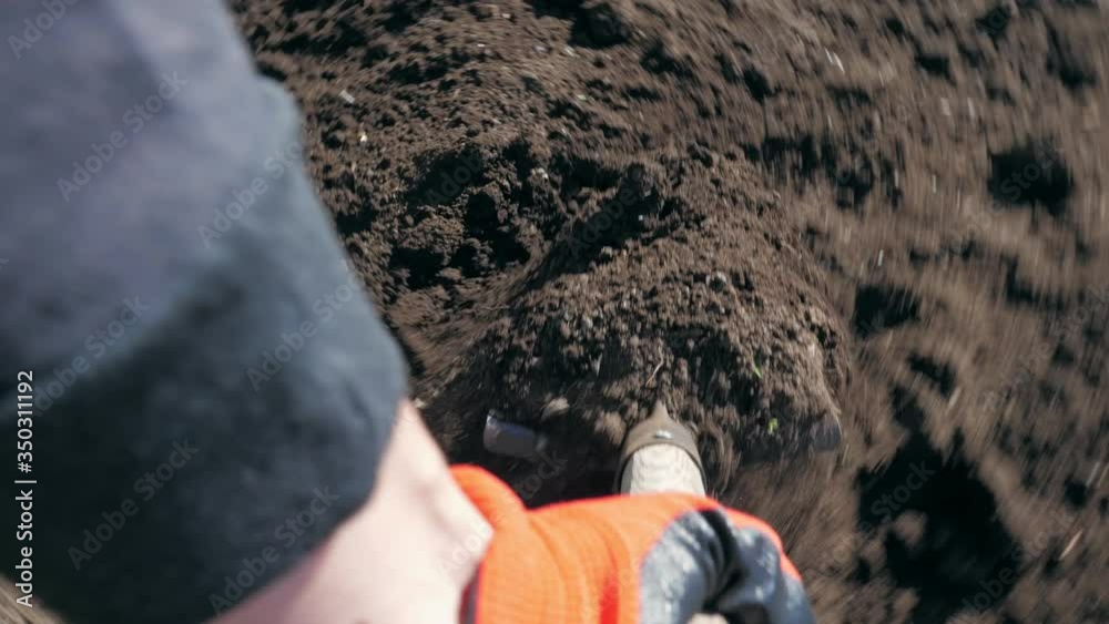 A farmer digs the ground with a shovel in his garden. First-person view. The concept of organic farming and ecological vegetable growing