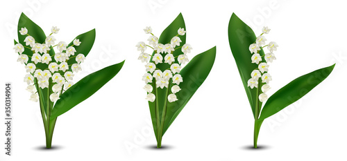 3d realistic Lilly of the valley flowers. Fragrant lily of the valley on white background. Bunch flower. Set vector illustration.