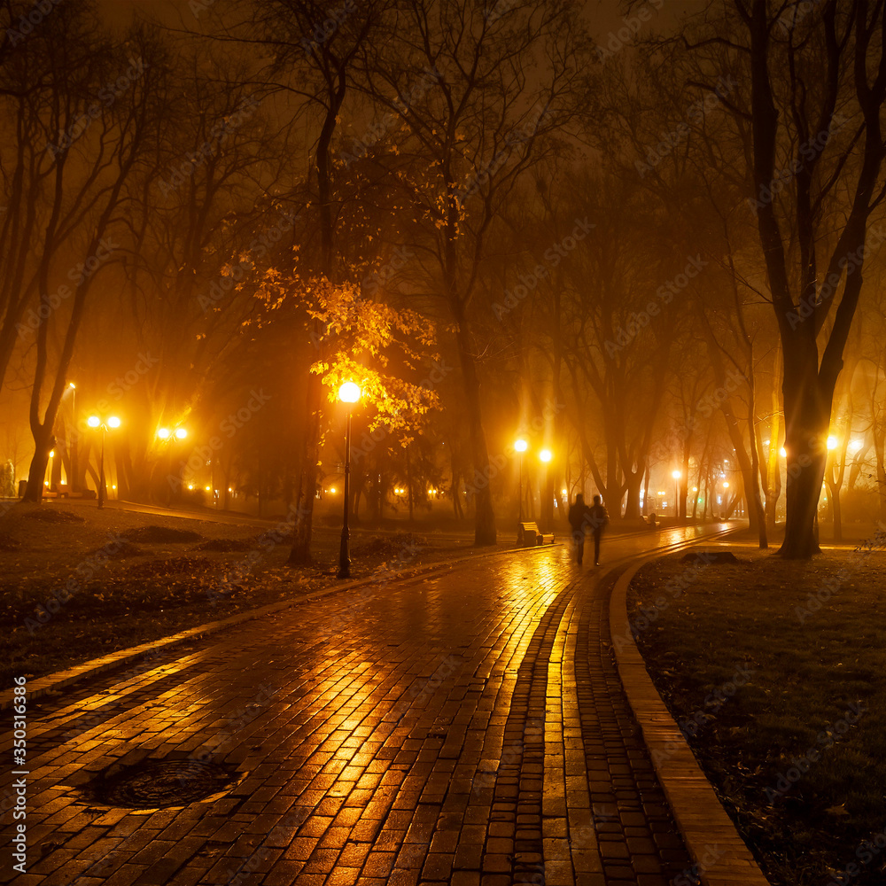 The avenue of city park at night. Kyiv, Ukraine.
