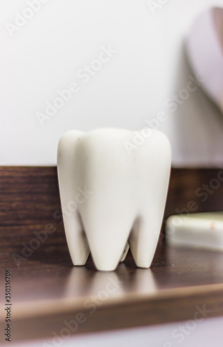 A tooth on display at a dental clinic