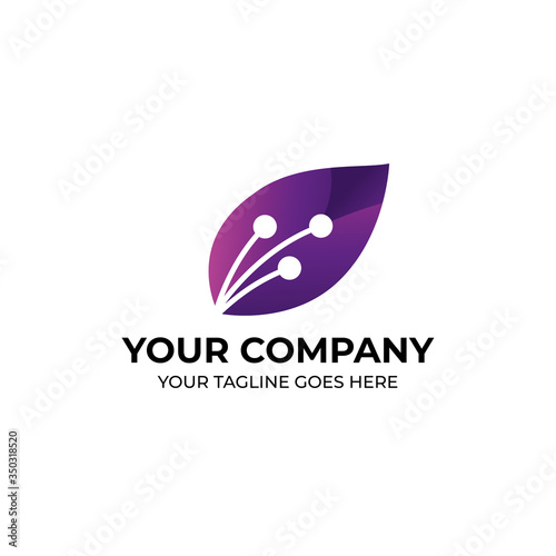 leaf; purple; plant; nature; background; natural; design; violet; foliage; summer; tree; forest; spring; exotic; color; pattern; abstract; tropical; green; texture; colorful; garden; flora; bright; pa