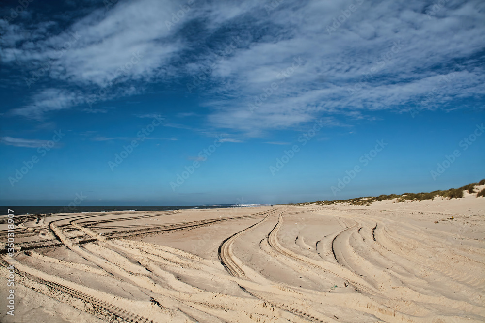Naklejka premium playa de arena desierta en el delta 