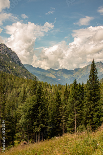 Panorama of the European Alps with high mountains and forests