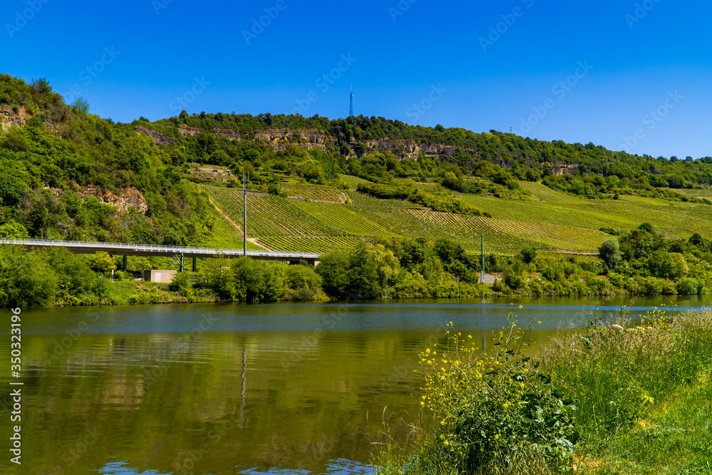 Moselle river in Germany with bridge and vineyards in the hill