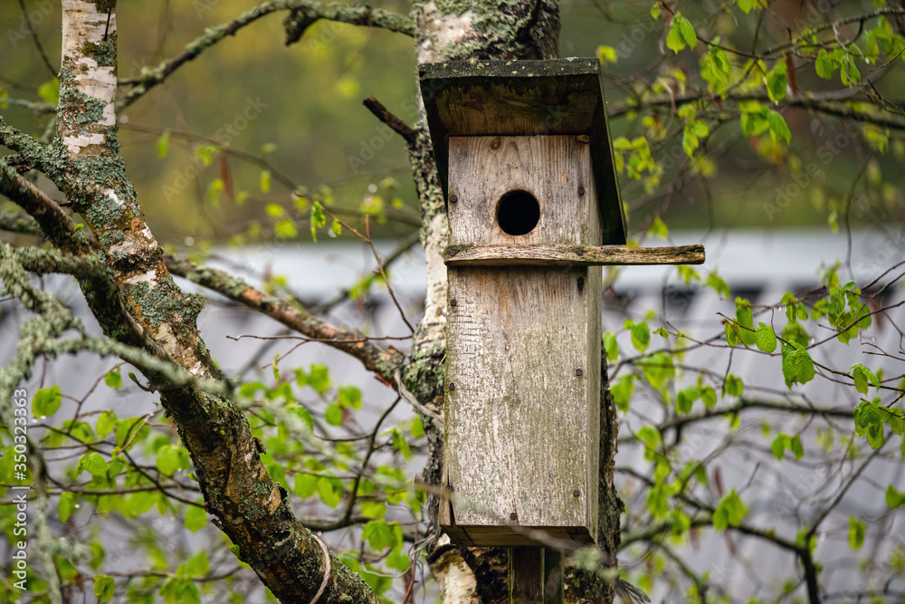 Nesting box in the tree on a cloudy day. Wooden bird house hanging on the tree branch outdoors