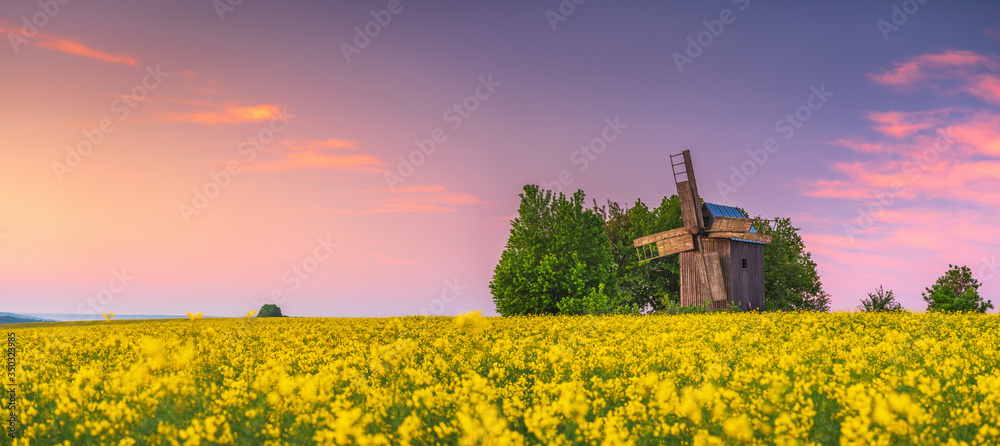 panorama with copy space of sunset around rapeseed field and old wooden mill in Ukraine