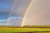 Double rainbow over the field after rain