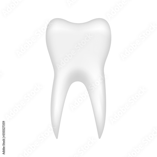 Realistic tooth isolated on a white background. Vector.