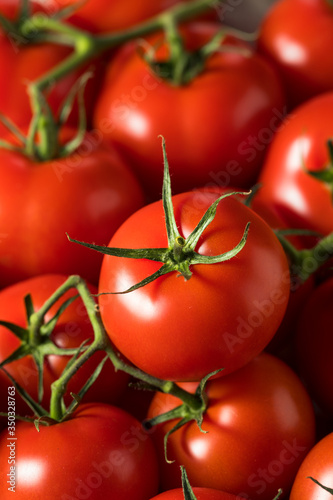 Raw Organic Vine Ripe Red Tomatoes