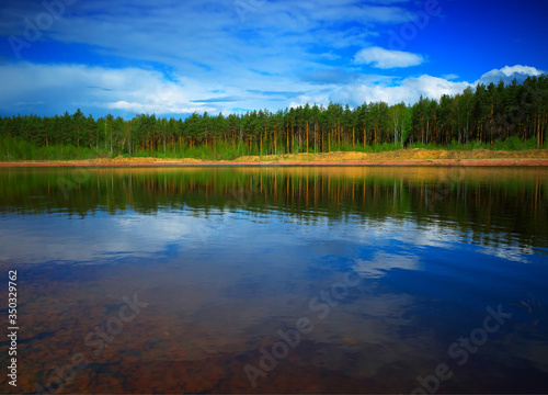 Dramatic reflections of summer forest background