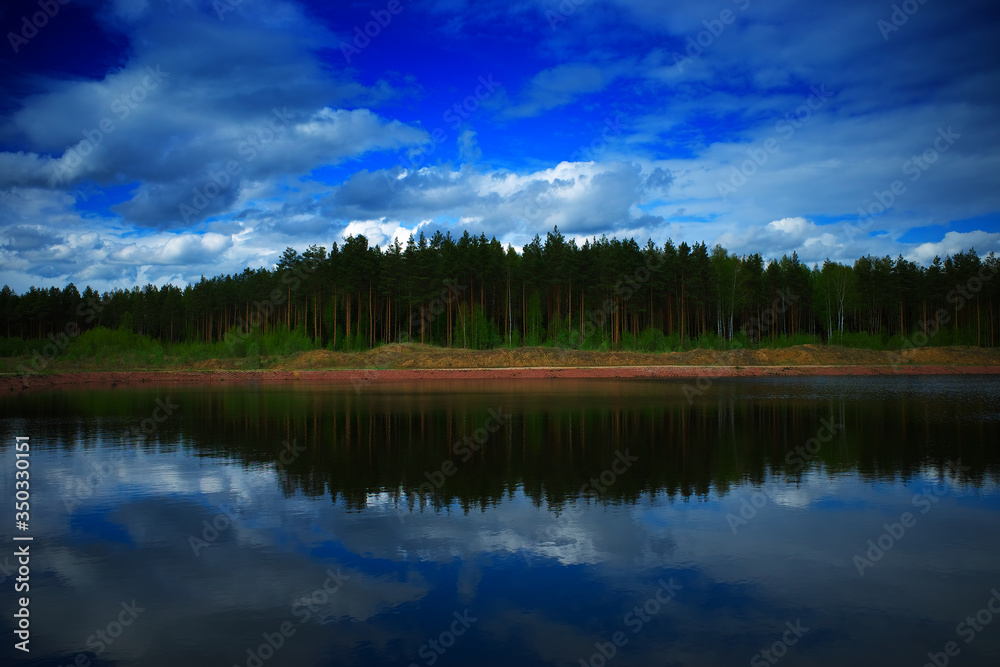 Dramatic summer forest on river bank