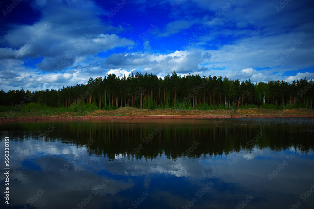 Fototapeta premium Dramatic summer forest on river bank