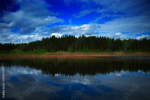 Dramatic summer forest on river bank